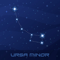 Naklejka premium Constellation Ursa Minor, Little Bear