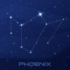 Fototapeta premium Constellation Phoenix, night star sky