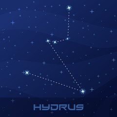 Constellation Hydrus, Water Snake