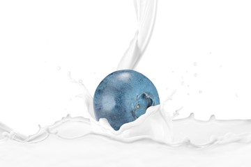 Blueberry With Milk Splash