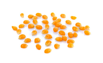 Dried yellow corn kernels on white background.