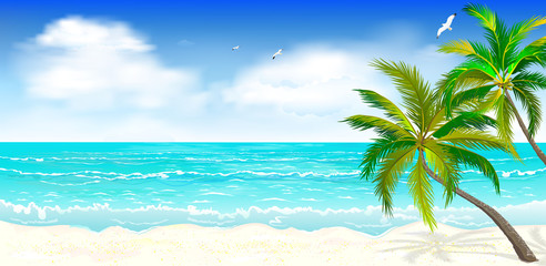 Fototapeta na wymiar Tropical beach, palm trees 1