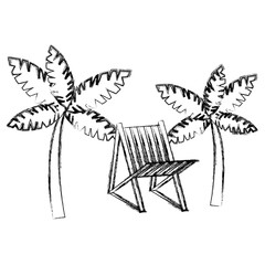 tree palms with beach chair