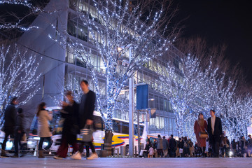 Fototapeta premium Zimowe oświetlenie przy ulicy Roppongi Keyakizaka w Tokio Roppongi Keyakizaka Oświetlenie