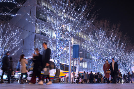 Winter illumination at Roppongi Keyakizaka Street in Tokyo　六本木けやき坂イルミネーション