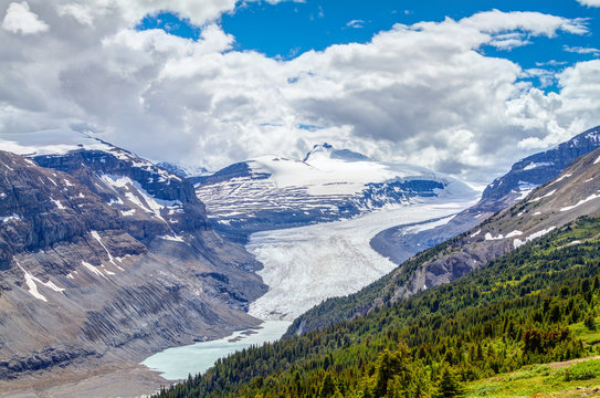 Saskatchewan Glacier at Parker Ridge in Jasper National Park