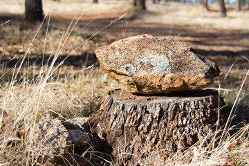 Stone lying on wood stub