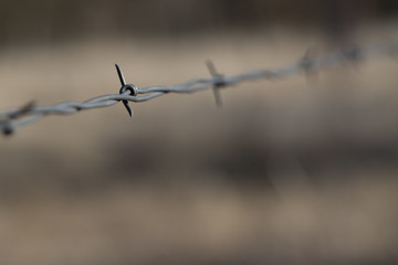 Close-up of barbed wire