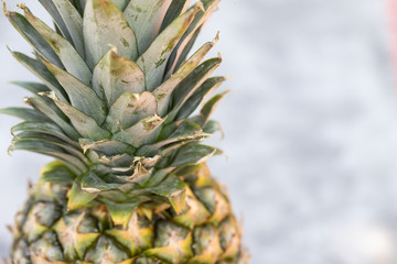 Postkartendesign stehende Ananas auf grauem Hintergrund