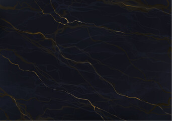dark Marble and golden line vector art texture background  illustration