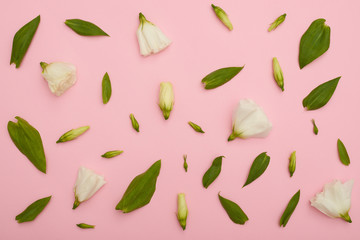 Flower composition of white eustoma on pink flatlay