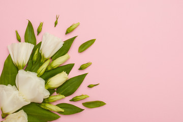 Corner composition of white eustoma flowers on pink background