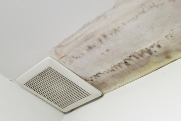  Excessive moisture can cause mold and peeling paint wall ,such as rainwater leaks or water leaks.