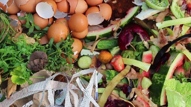The collection of waste that can break down into soil. Leaves, grass clippings, food scraps, coffee, tea, shredded newspaper, tissues, cardboard, egg cartons, paper,  eggshells