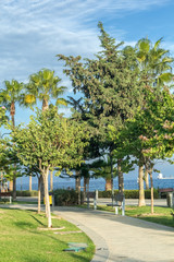 Зеленая аллея на набережной острова Кипр