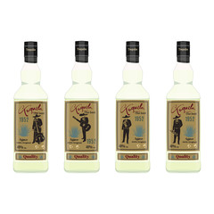 Tequila bottle set vector flat illustration