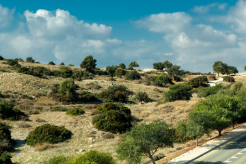 Природа и растительность острова Кипр