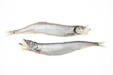 子持ちししゃも