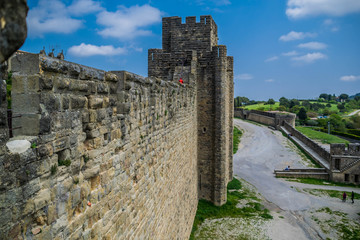 Carcassonne, la cité, Aude, Occitanie, France.