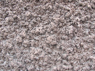 Beige rough plaster