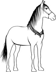 Drawing the silhouette of running horse