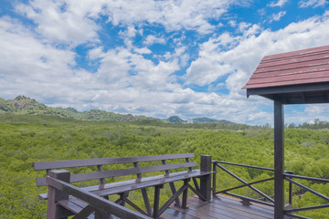 Fototapeta premium tower in Mangrove forest at Pranburi Forest National Park, Prachuap Khiri Khan, Thailand.