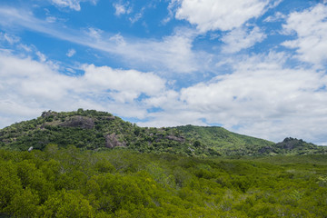 mountain in Mangrove forest at Pranburi Forest National Park, Prachuap Khiri Khan, Thailand.