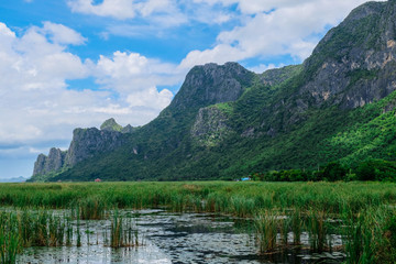 Fototapeta na wymiar Wetlands in Mountain Khao Samroiyod national park, prachubkirikhun Thailand.