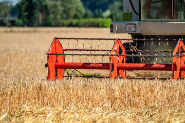 Combine harvester reaping wheat