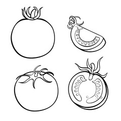 Vector hand drawn illustration of tomato. Outline doodle icon. Food sketch for print, web, mobile and infographics. Isolated on white background element. Set