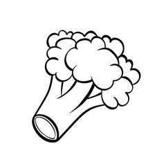 Vector hand drawn illustration of a broccoli.  Outline doodle icon. Food sketch for print, web, mobile and infographics. Isolated on white background element.