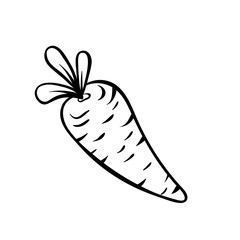 Vector hand drawn illustration of a carrot. Outline doodle icon. Food sketch for print, web, mobile and infographics. Isolated on white background element.