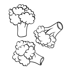 Vector hand drawn illustration of broccoli. Outline doodle icon. Food sketch for print, web, mobile and infographics. Isolated on white background element. Set