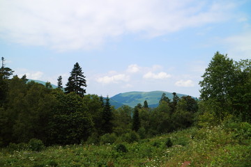 Picture of a mountain valley.