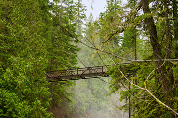 Bridge over Englishman River waterfalls in Vancouver Island, BC