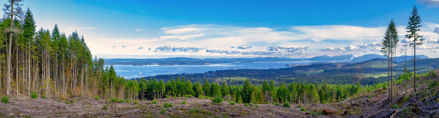 Panoramic view of Ladysmith shoreline from top of a mountain, Vancouver Island, BC, Canada