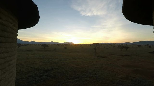 sunrise over savanna in kenya