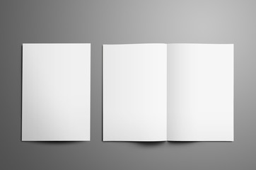 Universal tempalte with two white  A4, (A5) bi-fold brochures isolated on gray background.