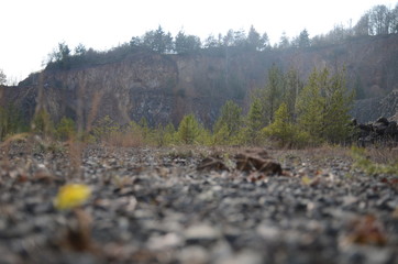 Steinbruch Rockenhausen