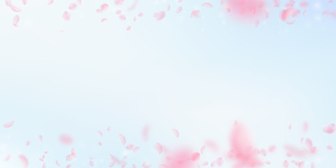 Sakura petals falling down. Romantic pink flowers border. Flying petals on blue sky wide background.