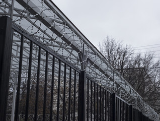 Fototapeta premium Barbed wire, barbed wire on the fence. Egoz's barbed wire
