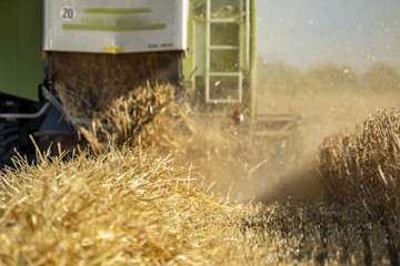 Combine harvester reaping wheat