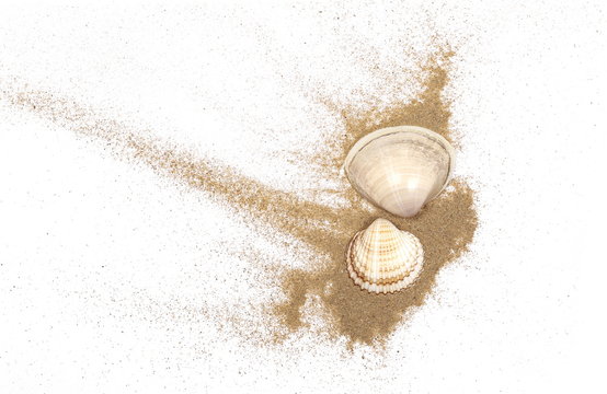 Sea shells in sand pile isolated on white background, top view