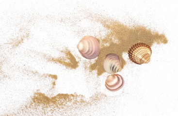 Fototapeta na wymiar Sea shells in sand pile isolated on white background, top view