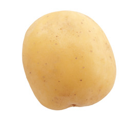 potato isolated on white background