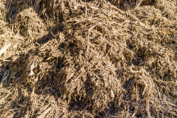 Biomass from agricultural and wood waste