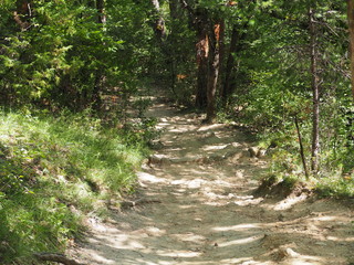Pathway in the forest of the colorado of Rustrel, France