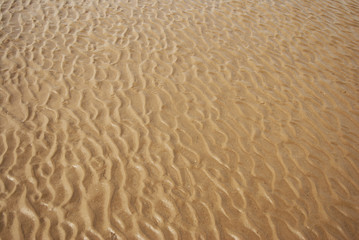 Wet sand texture. Sandy beach for background. Summer hollidays.