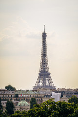 Fototapeta na wymiar Eiffel Tower from the Louvre
