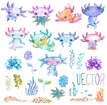 Cote watercolor vector axolotl set